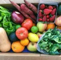 Organic Farm Produce - Fresh and Healthy